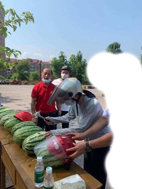 泰安满庄吃瓜事件视频,一场引发热议的街头冲突