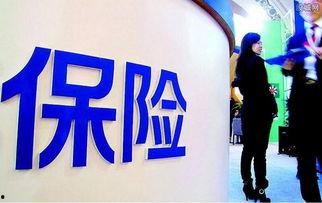 保险公司吃瓜骗局案例视频,视频揭露惊人内幕