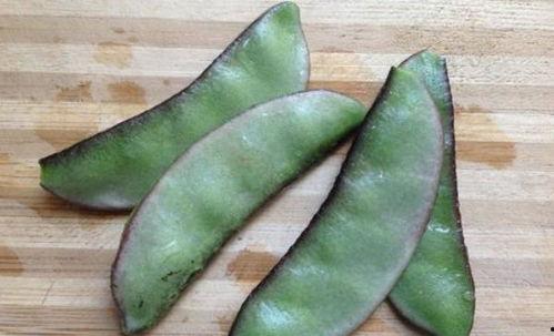 可以吃茭瓜吗有毒吗视频,有毒与否，专家权威解答