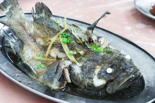 海鲜吃货视频声控八瓜鱼,海鲜吃货视频中的神秘海鲜探索之旅