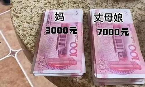 吃瓜群众丈母娘视频,揭秘家庭欢乐瞬间