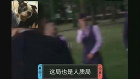 吃瓜视频比赛完整版,精彩瞬间回顾，笑料百出，欢乐无限