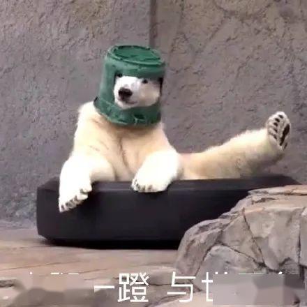 带你吃瓜沙雕技能视频,轻松解锁欢乐时光