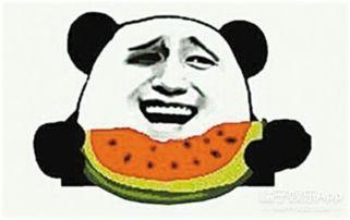 只想默默吃瓜短视频,短视频里的社会百态