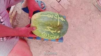 卖吃瓜的视频抽象,揭秘短视频时代的吃瓜达人